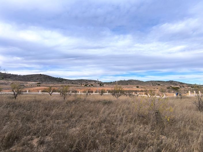 Image No.4-Land for sale