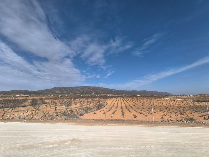 Image No.39-3 Bed Villa for sale