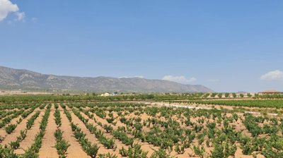 d69399ed642d8c69399ed642dd2