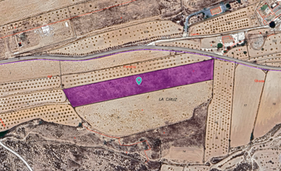 Terre à vendre à Pinoso