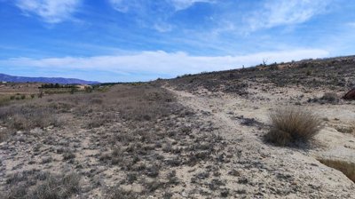 o1jc8sv2o7jkh1s9aji21gk1k091t