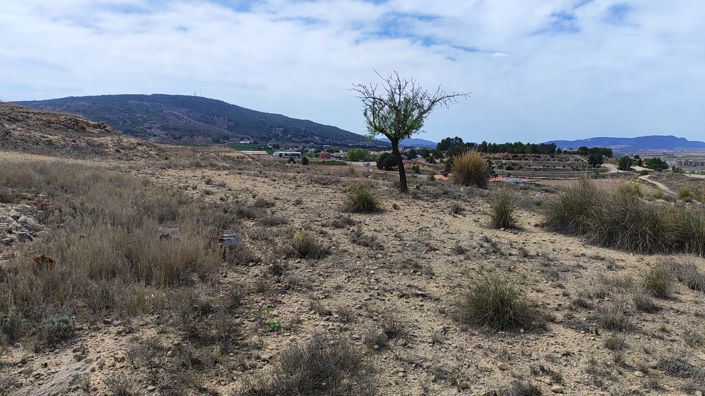 Image No.15-Land for sale