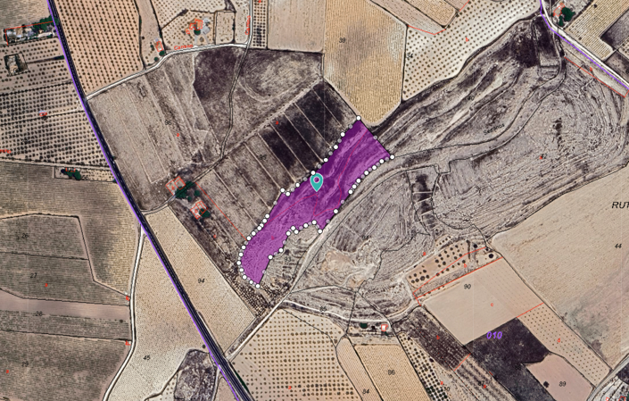 Image No.2-Terre à vendre à Pinoso