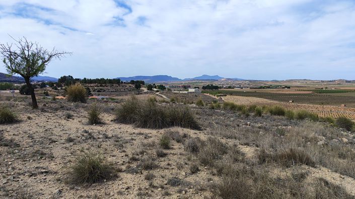 Image No.3-Land for sale