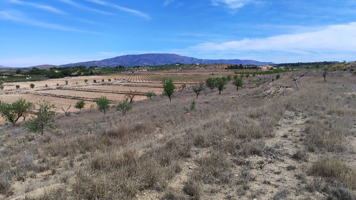 Image No.4-Land for sale