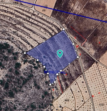 Image No.2-Terre à vendre à Abanilla