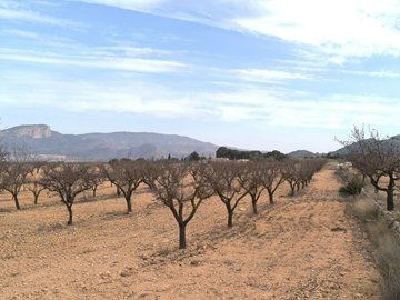 d694270f06cf6d694270f06cfb4