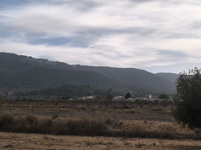 Image No.16-Propriété de 3 chambres à vendre à Monóvar