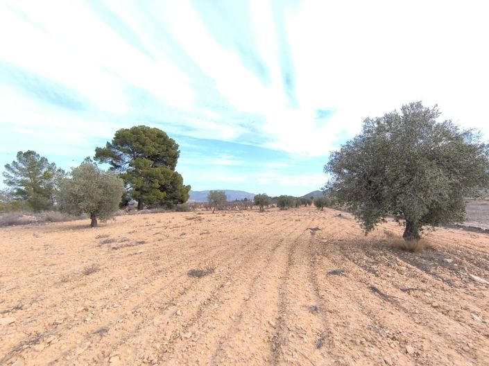 Image No.23-Propriété de 3 chambres à vendre à Monóvar