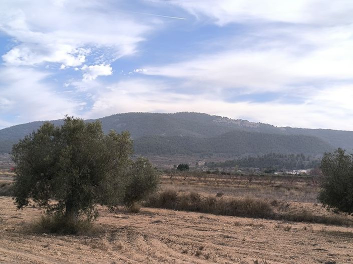 Image No.18-3 Bed Villa for sale