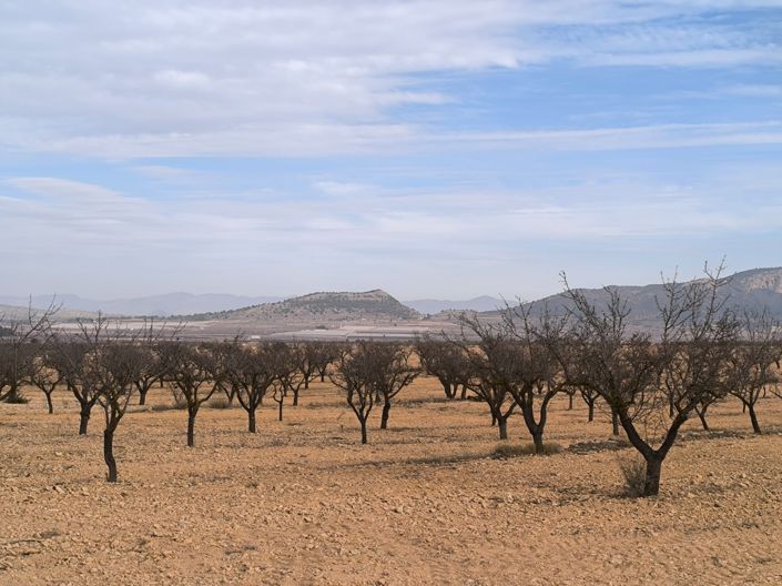 Image No.20-3 Bed Villa for sale