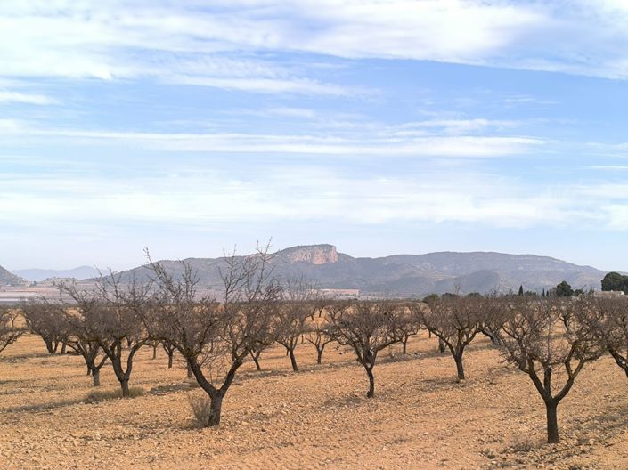 Image No.22-3 Bed Villa for sale