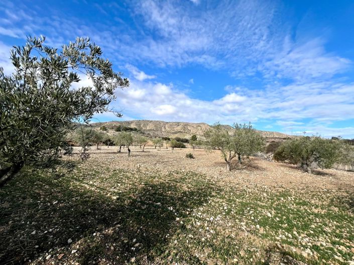 Image No.24-Maison de campagne de 3 chambres à vendre à Monóvar