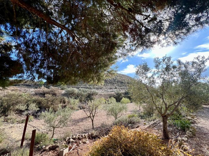 Image No.25-Maison de campagne de 3 chambres à vendre à Monóvar