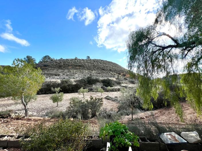 Image No.26-Maison de campagne de 3 chambres à vendre à Monóvar