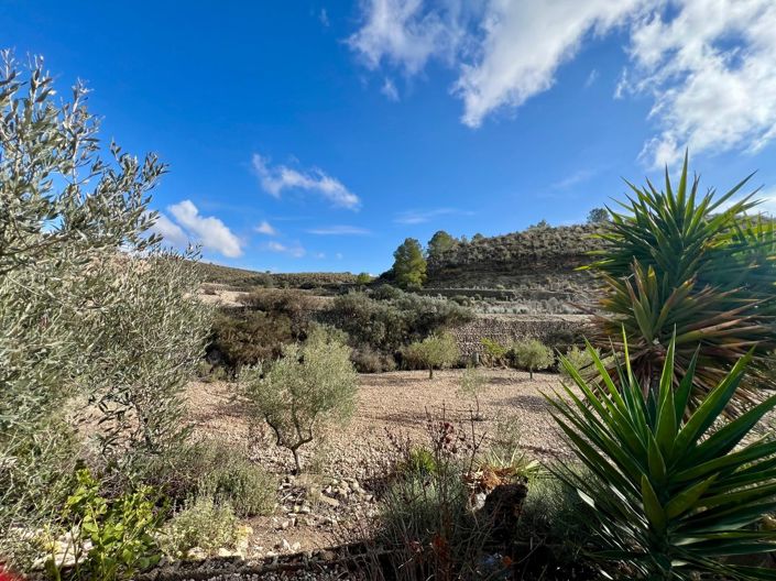 Image No.27-Maison de campagne de 3 chambres à vendre à Monóvar