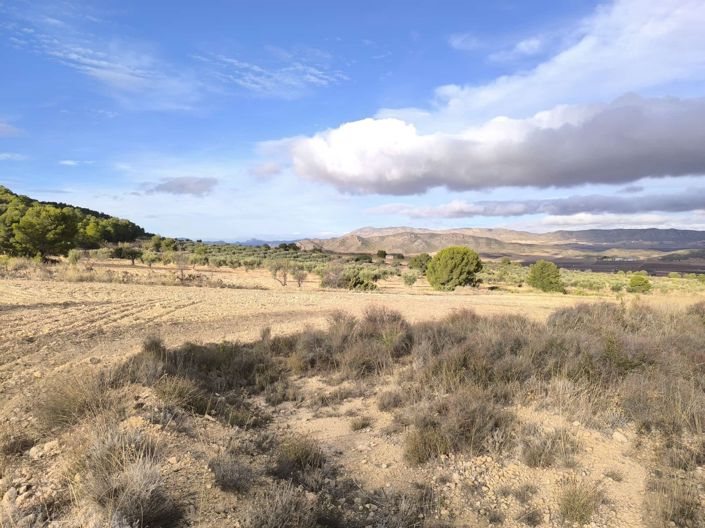 Image No.12-5 Bed Country House for sale