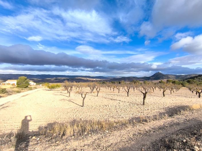 Image No.13-5 Bed Country House for sale