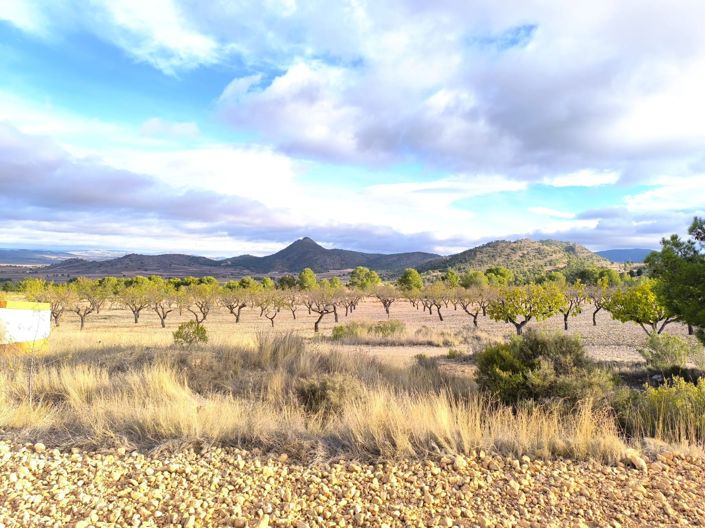 Image No.7-5 Bed Country House for sale