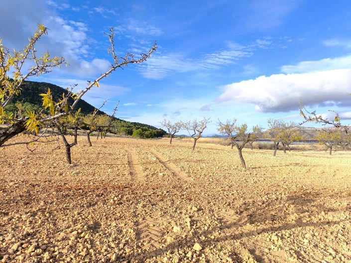 Image No.8-5 Bed Country House for sale