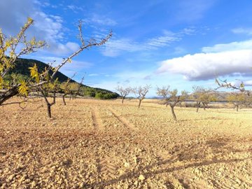 o1jd1fb91c1f741ipt11rn1sjn1ihh37