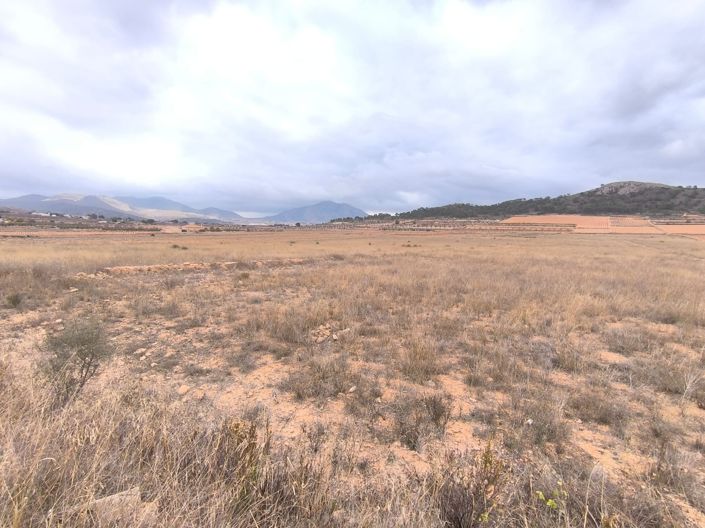 Image No.3-Land for sale