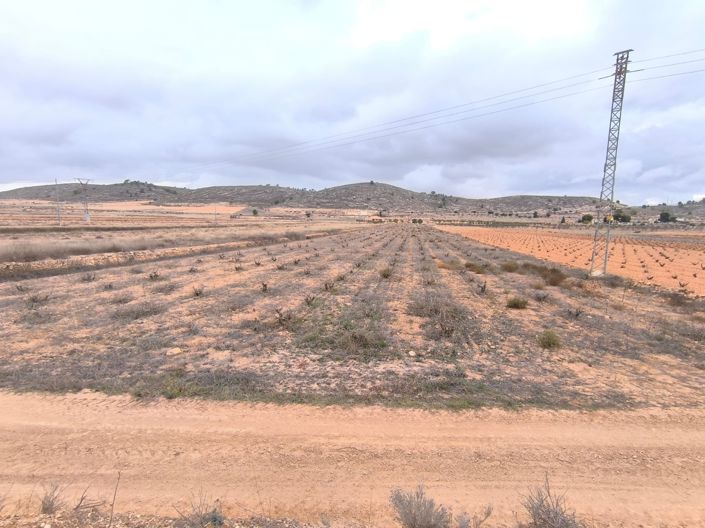 Image No.2-Land for sale