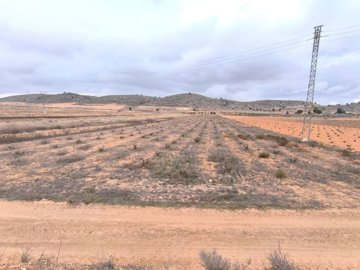 o1jd3p1rfe1i0a1g8ui0om4e14sr1e