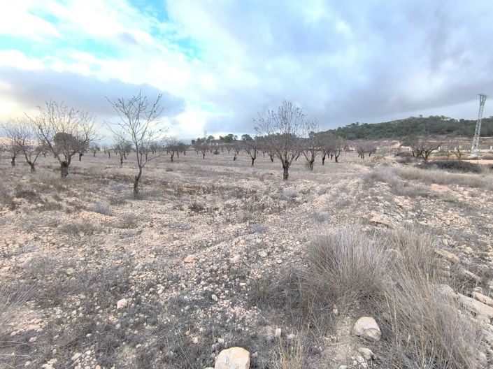 Image No.2-Land for sale