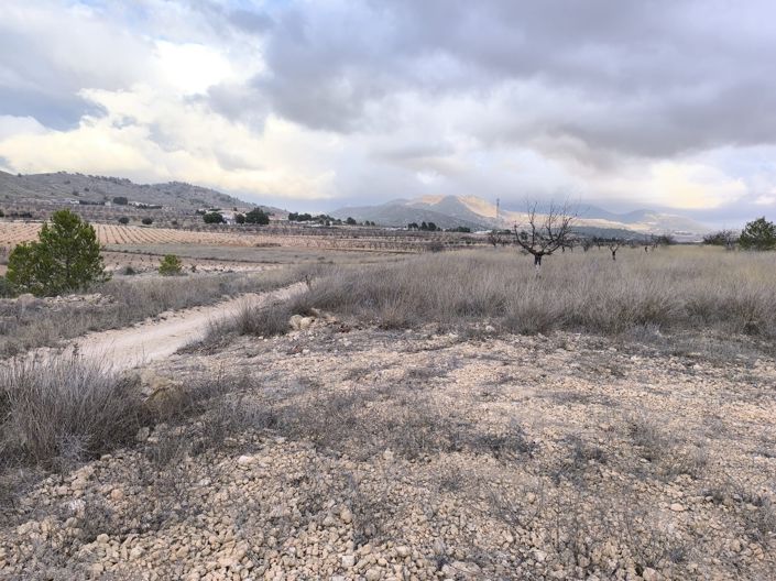 Image No.3-Land for sale