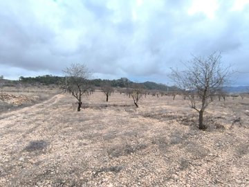 o1jd3pqgleevs1op6gemi3qa311i