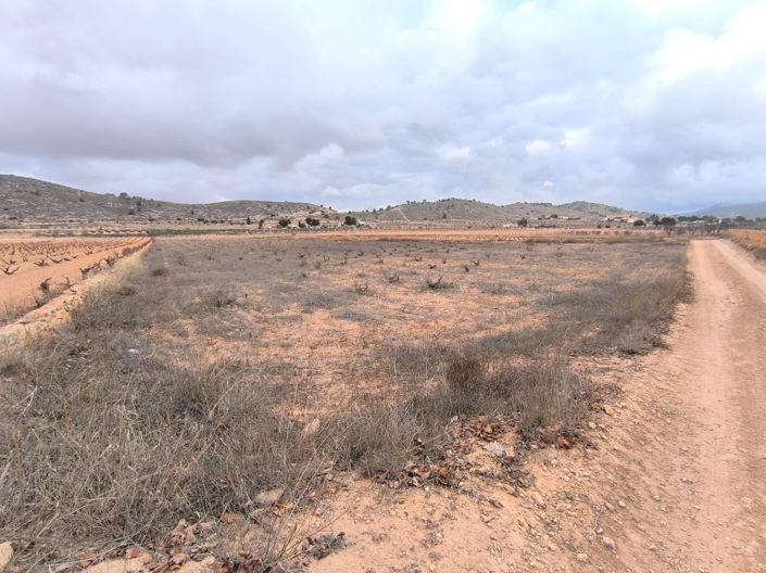 Image No.2-Land for sale