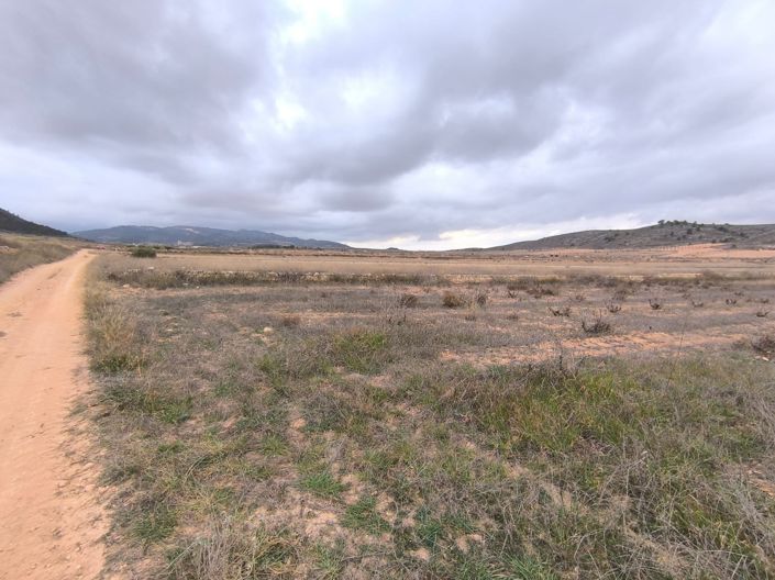 Image No.2-Land for sale