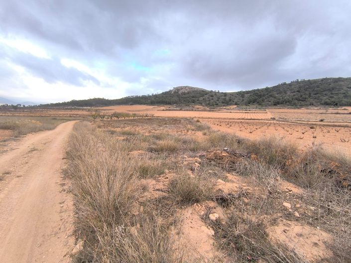 Image No.2-Land for sale