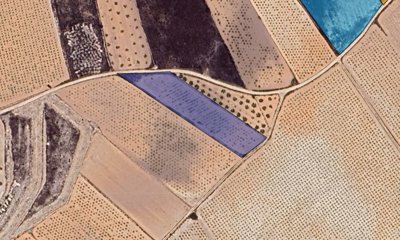 o1jd3ni6qtie91ptq1gc0vva34g1c