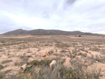 o1jd3hkctq11nq9liipm8dinq41f