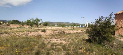 29689-country-house-for-sale-in-pinoso-182169
