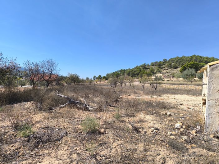 Image No.29-Villa de 2 chambres à vendre à La Zarza