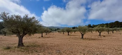 o1jf1nofnilkumet14ehbr01j521j