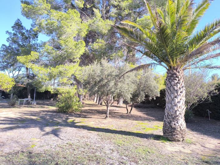 Image No.23-Villa de 6 chambres à vendre à Caudete