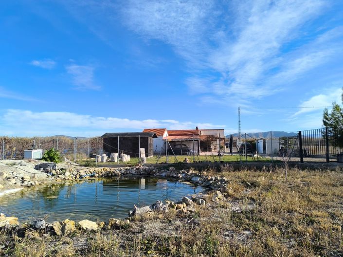 Image No.2-Villa de 5 chambres à vendre à Villena