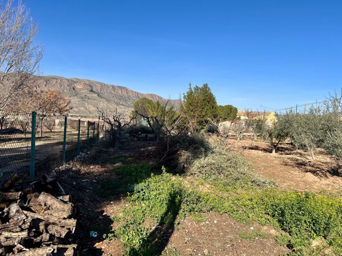 Image No.22-3 Bed Country House for sale