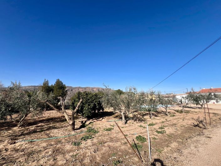 Image No.32-3 Bed Country House for sale