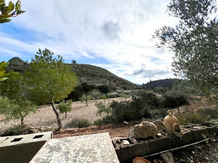 Image No.22-Villa de 3 chambres à vendre à Monóvar