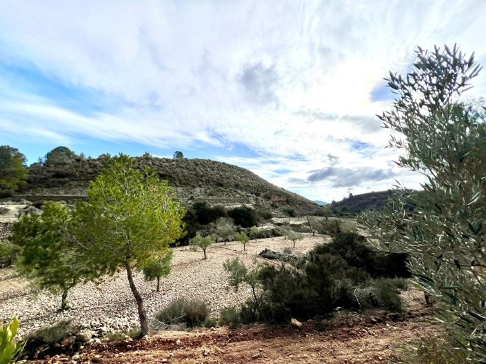 Image No.24-Villa de 3 chambres à vendre à Monóvar