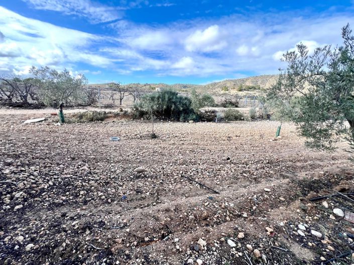 Image No.28-Villa de 3 chambres à vendre à Monóvar