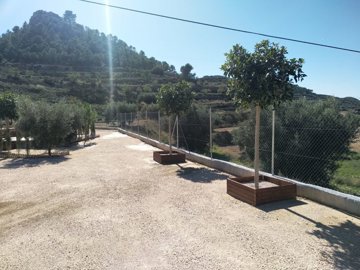 o1jfootfutor4ri8p581ipcc2l1t