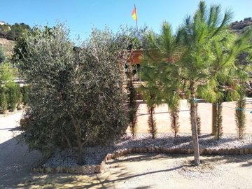 o1jfootfus1gce748118u1h8f16cn1k