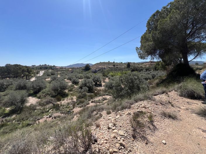 Image No.2-Terre à vendre à Monóvar
