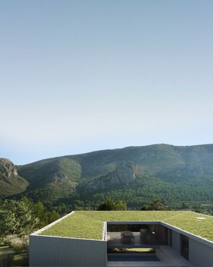 Image No.5-Terre de 3 chambres à vendre à Pedreguer